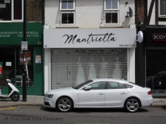 Mantriella image
