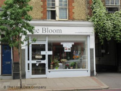 The Bloom image