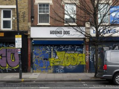 Hound Dog image