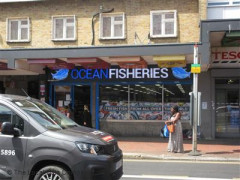 Ocean Fisheries image