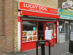 Lucky Dog image