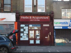 Herbs & Acupuncture image