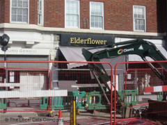 Elderflower image