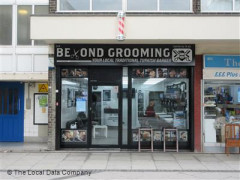 Beyond Grooming image