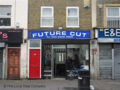 Future Cut image