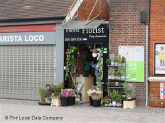 Forest Florist image