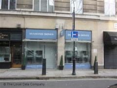 Diamond Doves image