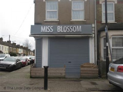 Miss Blossom image