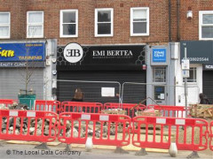 Emi Bertea image