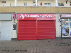Spice Fried Chicken  image