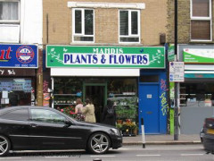 Mahdis Plants & Flowers image