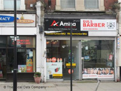 Amina image
