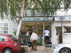 Floricanto image