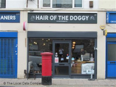 Hair Of The Doggy image
