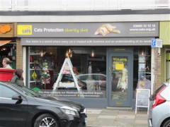 Cats Protection image
