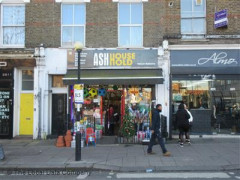 Ash Household image