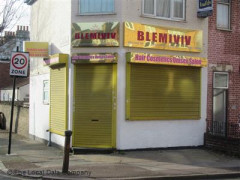 Blemiviv image