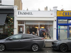 Damsel image