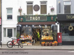 Troy image