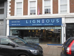 Ligneous image