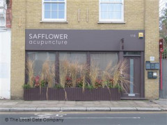 Safflower Acupuncture image