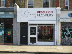 Stems Rebellion Flowers image