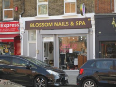 Blossom Nails & Spa image