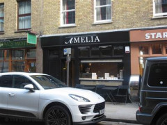 Amelia image