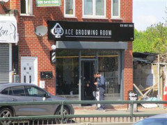 Ace Grooming Road image