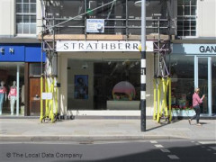Strathberry image