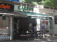 Cactus image