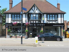 Ebony & Ivory image