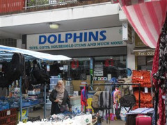 Dolphins image