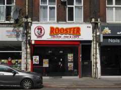Rooster image