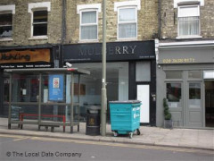 Mulberry image