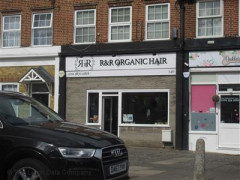 R&R Organic Hair image