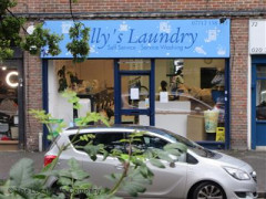 Polly's Laundry image