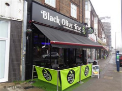 Black Olive Tree image