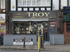 Troy image
