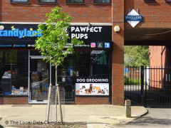 Pawfect Pups image