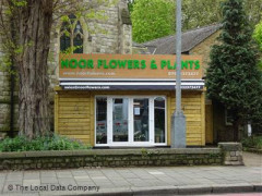 Noor Flowers & Plants image
