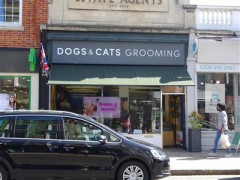 Dogs & Cats Grooming image