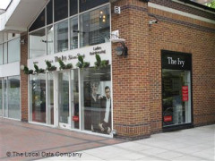 The Ivy image