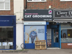 Absolutely Animals Cat Grooming image