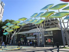 Golden Ride image
