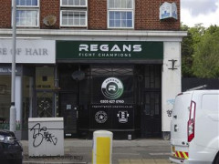 Regans Fight Champions image