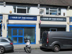 Hair Of The Doggy image
