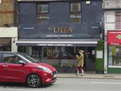 The Olea image