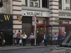 Volonte image