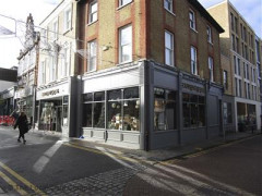 Sostrene Grene image